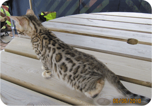 Oriana at 9 weeks