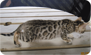 Oriana at 9 weeks