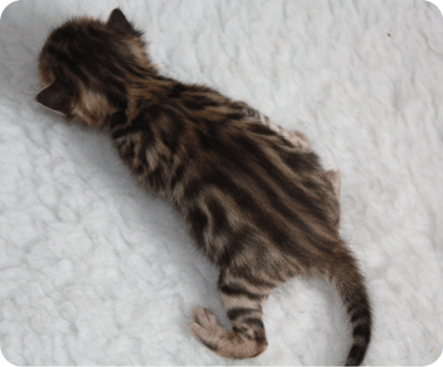 LxM Girl116 days