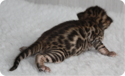 LXM Boy1 16 days
