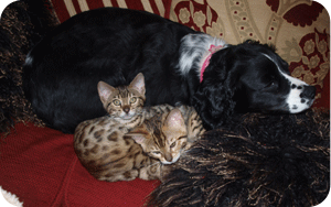 Lola & Poppy with new friend!